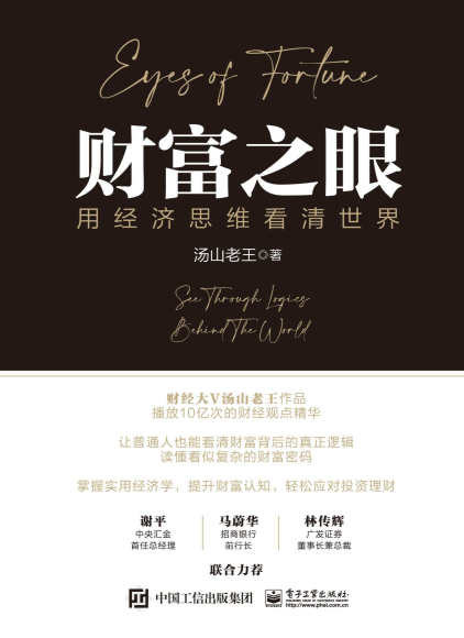 财富之眼封面